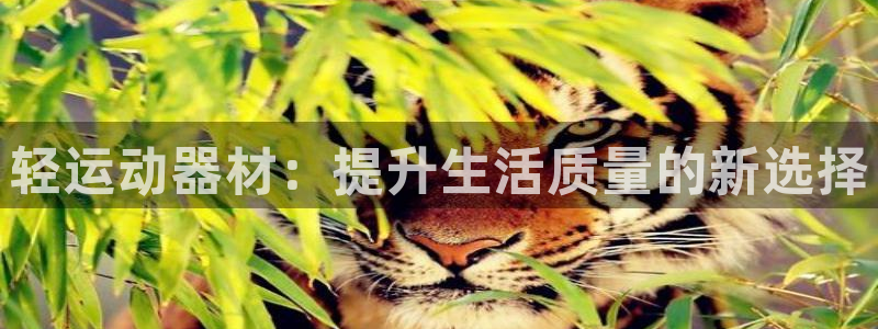 注册球王会体育官方正版app：轻运动器材：提升生活质量的新选