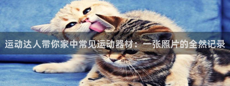 球王会体育官网下载联系电话：运动达人带你家中常见运动