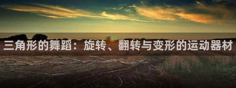 球王会体育官网下载招商电话地址查询：三角形的舞蹈：旋转、翻转