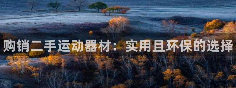 球王会体育官网下载软件：购销二手运动器材：实用且环保的选择