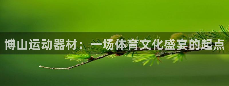 球王会体育官网下载平台是正规平台吗知乎：博山运动器材：一场体