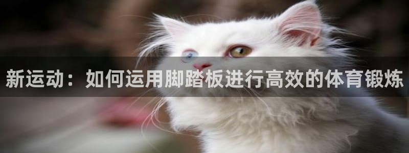 球王会体育官网下载招商电话号码是多少号：新运动：如何