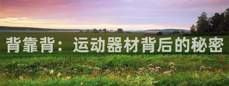 球王会体育官方正版app娱乐首页官网下载